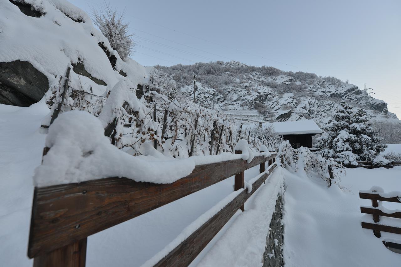 Au Berceau Du Bien-Etre Villa Chambave Eksteriør billede